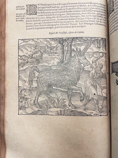 IU Lilly Library (@iulillylibrary) on Twitter photo Our most magical blog post ever! Highlights from our Flora + Fauna exhibition focusing on the unicorn in print. Includes adorable interview with local unicorn expert, age 5: blogs.libraries.indiana.edu/lilly/2023/04/… Our most magical blog post ever! Highlights from our Flora + Fauna exhibition focusing on the unicorn in print. Includes adorable interview with local unicorn expert, age 5: blogs.libraries.indiana.edu/lilly/2023/04/…