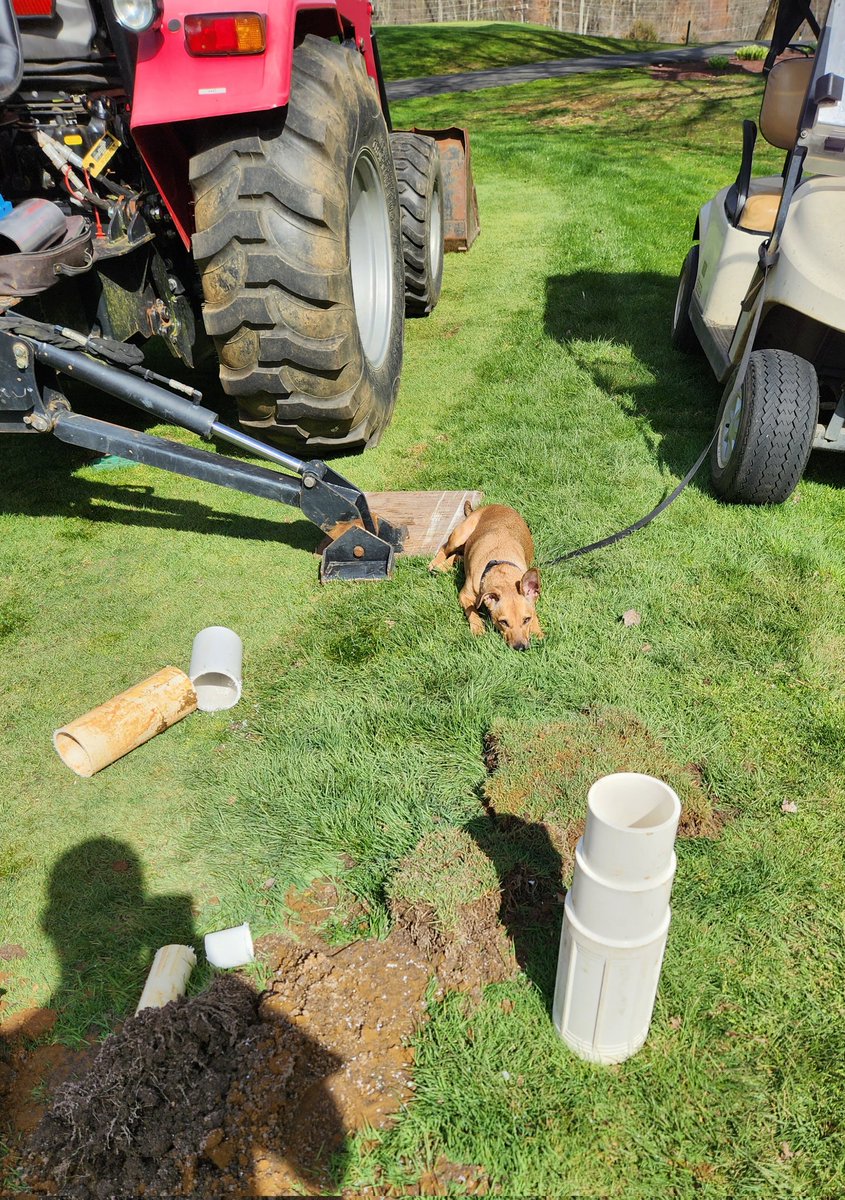 ddavey20's tweet photo. Fark this irrigation sheet dad https://t.co/gv0LQQnNPj