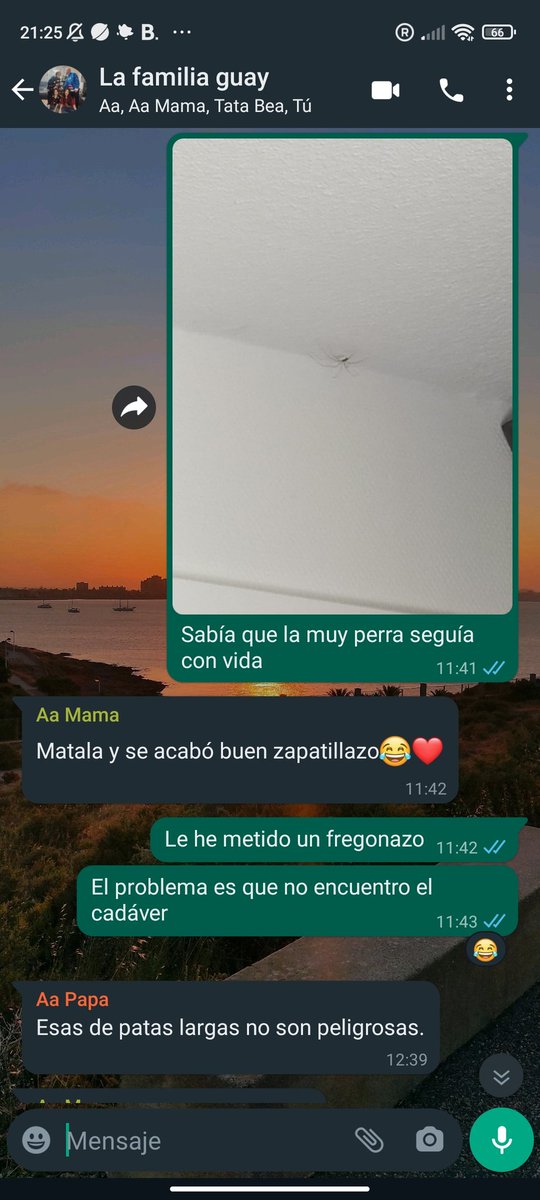 CeciAllueva's tweet photo. Yo hoy iba a hacer cosas... https://t.co/RYi1jed3wQ