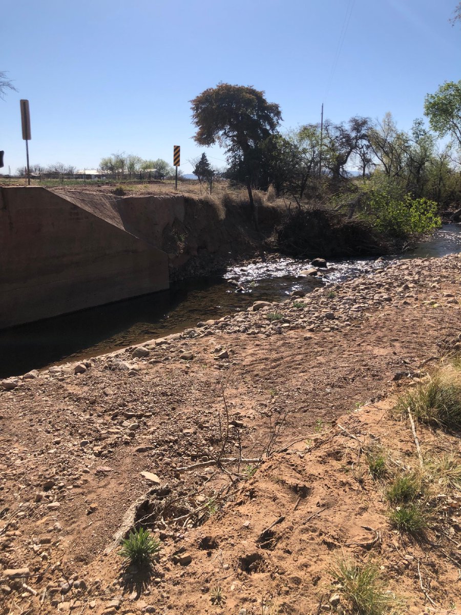 It was so pretty here and a beautiful day to boot. #homeandlovingit,