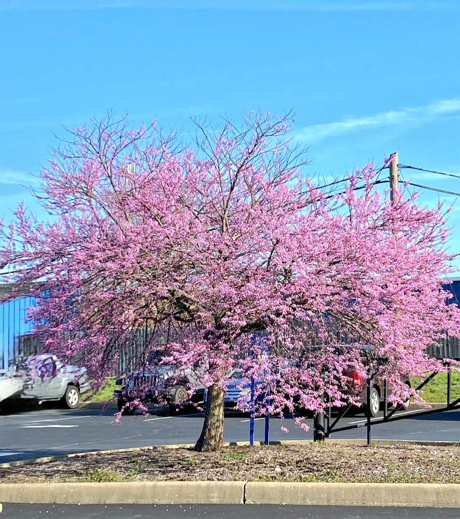 Sue Litman-Hall tweet media