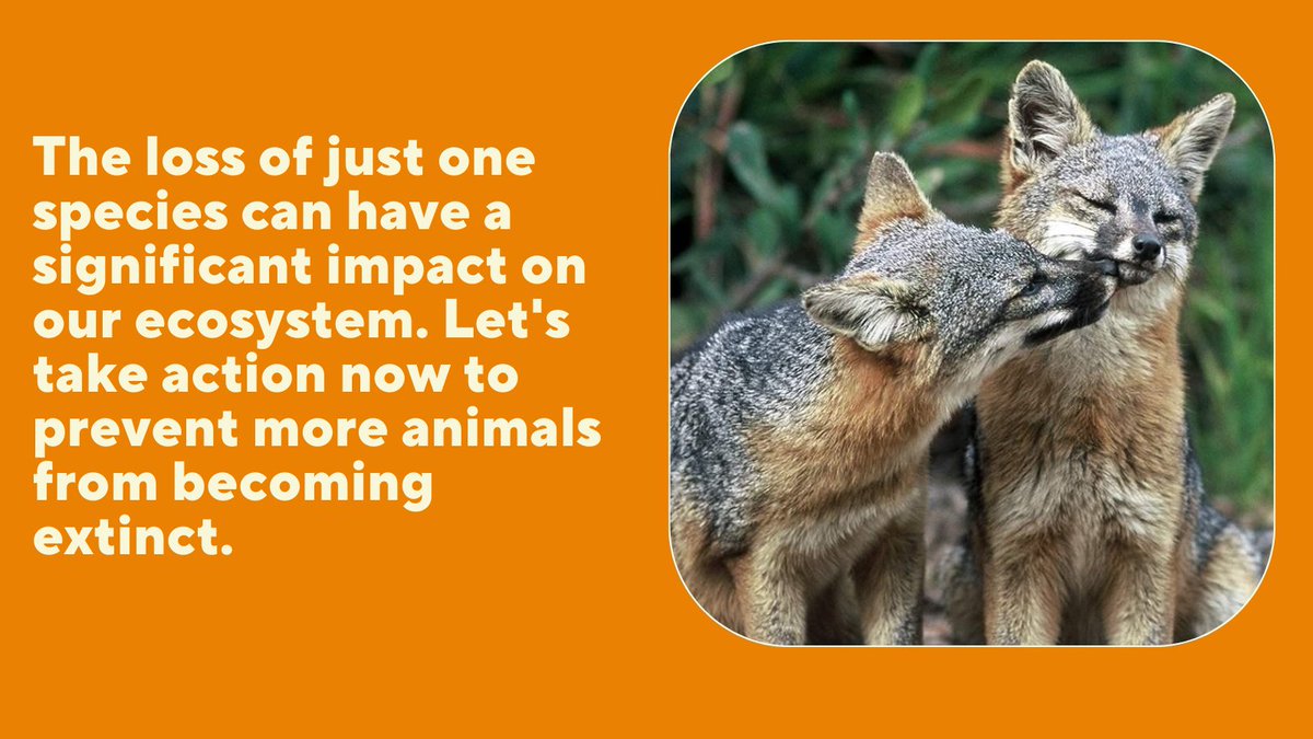 SpeciesSaviors's tweet photo. We share this planet with countless other species, and it's our responsibility to ensure their survival. Spread awareness about animal extinction and take steps to protect our planet. #protectwildlife #animalextinction #SaveEndangeredSpecies https://t.co/61bOXYSd2f