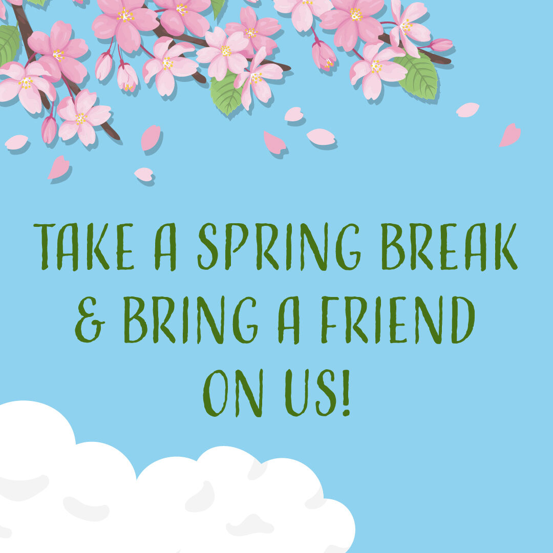 nj-transit-on-twitter-take-a-spring-break-and-bring-a-friend-on