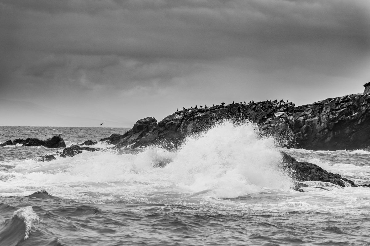 KarenCoxPhoto's tweet photo. #storm #stormyseas #Waves #roonagh #WildAtlanticWay #wawpics #bnwphotography #documentaryphotography #ThePhotoHour #StormHour #Ireland https://t.co/8iG8IfdiAx