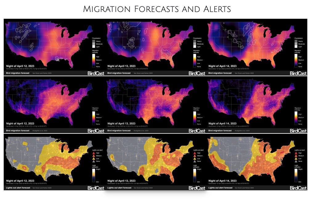 akhalighifar's tweet photo. Are you curious about the extra middle row of maps on CSU AeroEco Lab's Lights Out Alerts and what they mean? Get ready for an exciting upgrade to bird migration forecasts! Follow this thread to find out more! https://t.co/UyrFU1uISx (1/9) https://t.co/OxVSrR8MwY