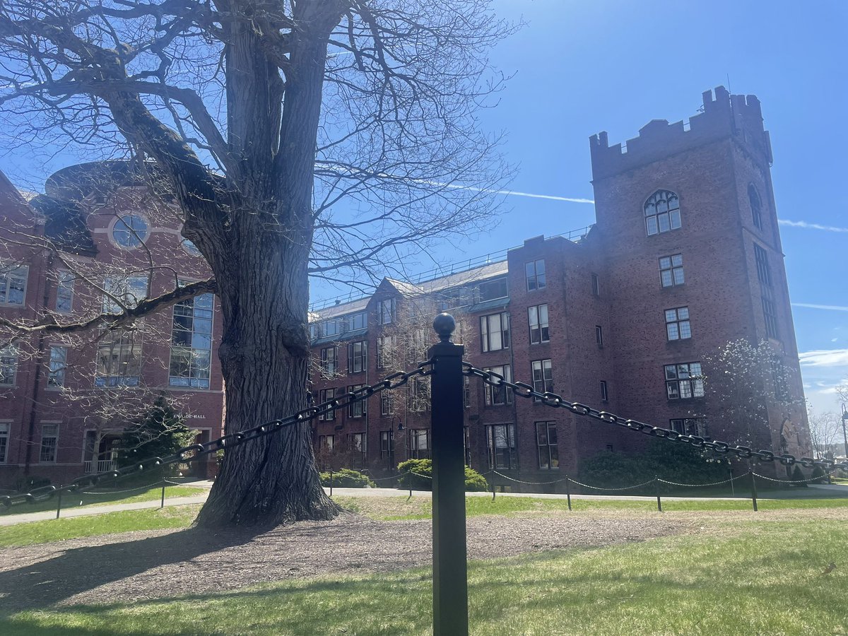 Lots of classes (mine included!) being held outside on this first warm New England day