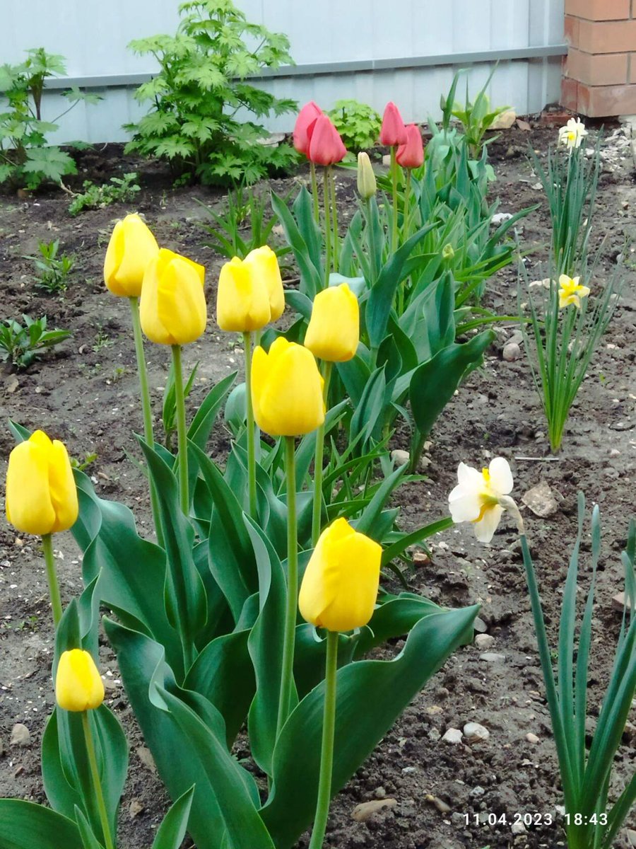 Suleiman_Iran's tweet photo. #Цветы, улыбка #Бога на земле https://t.co/dqJMK2wlsz