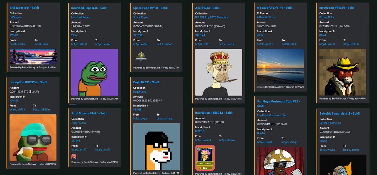 bestinslotxyz's tweet photo. Hello Collection Founders! 👋🏼

Meet BiS Bot, a discord sales bot for ordinals, designed to keep your community updated on your collection's global trading activity!🤖

It's free &amp; will stay free, evolving with your valuable suggestions. 💯

Come to Discord for access! 📨 https://t.co/hNEqYnh23F