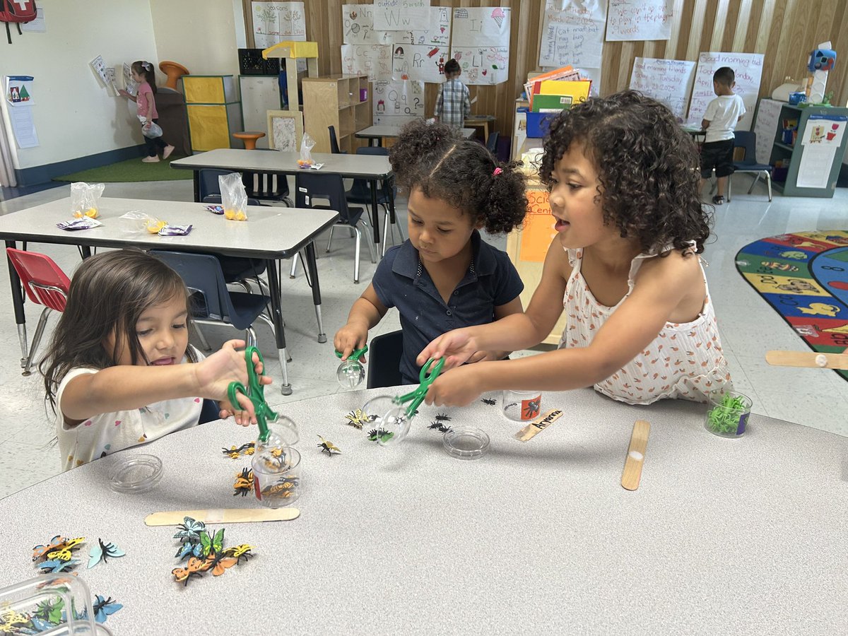 gurrola_2022's tweet photo. Bug sorting and counting in Pre K. @LomaParkES https://t.co/AeBINJXKyg