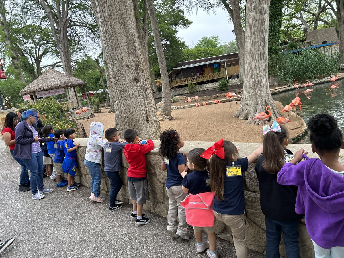 gurrola_2022's tweet photo. Learning at the zoo for Prek @LomaParkES https://t.co/TimQHfSD6L