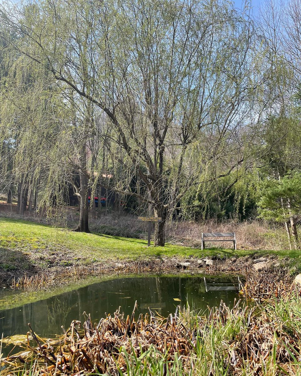 RedOakRecovery's tweet photo. We are back! 
Spring has sprung on our campus so we thought it would be the perfect time to start back on our Twitter game. https://t.co/g3mZJeaKzJ