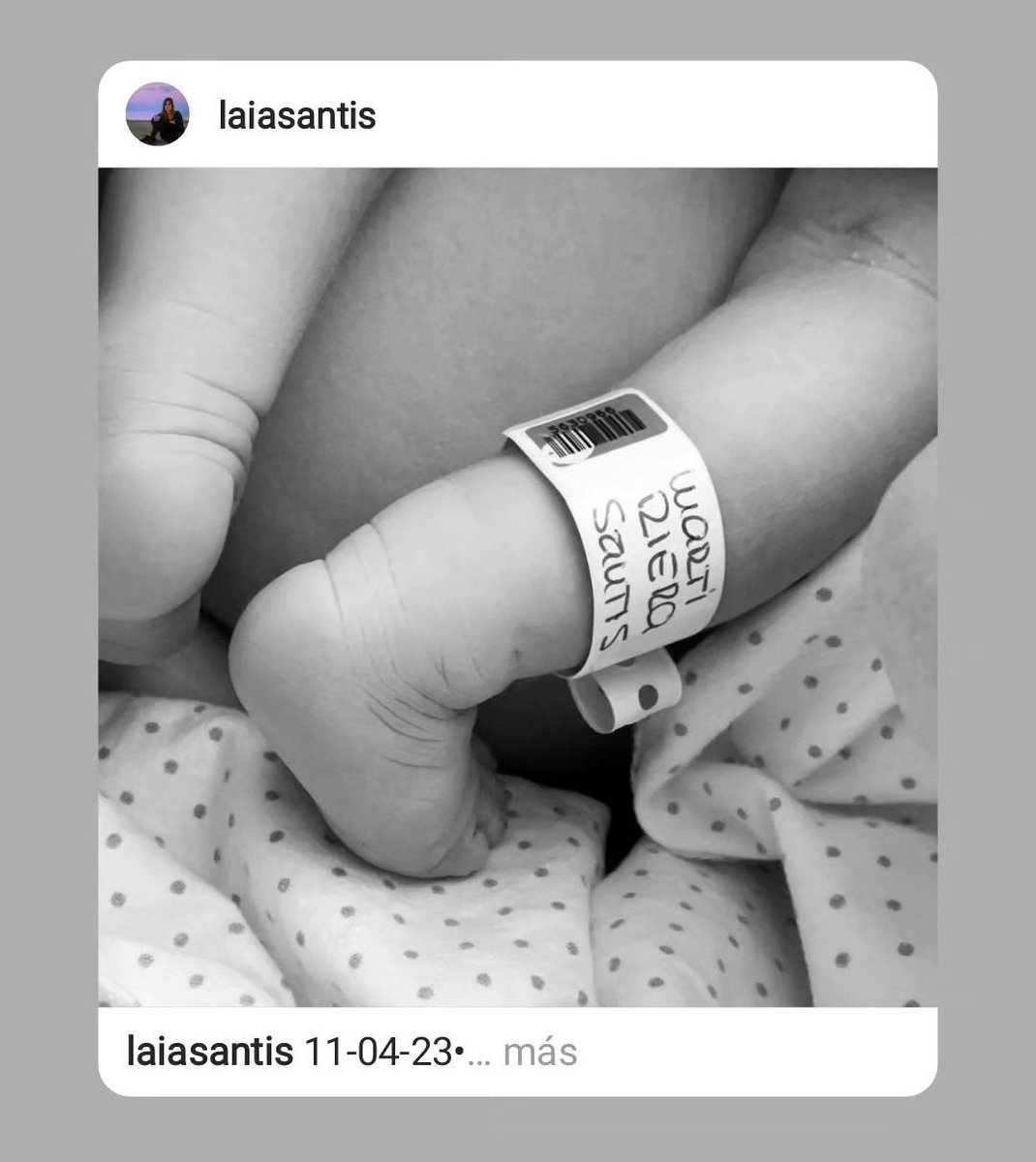 Laia• vidaentrellibres tweet media