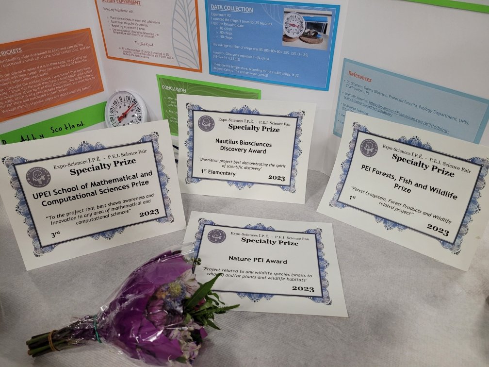 Jay Scotland tweet media