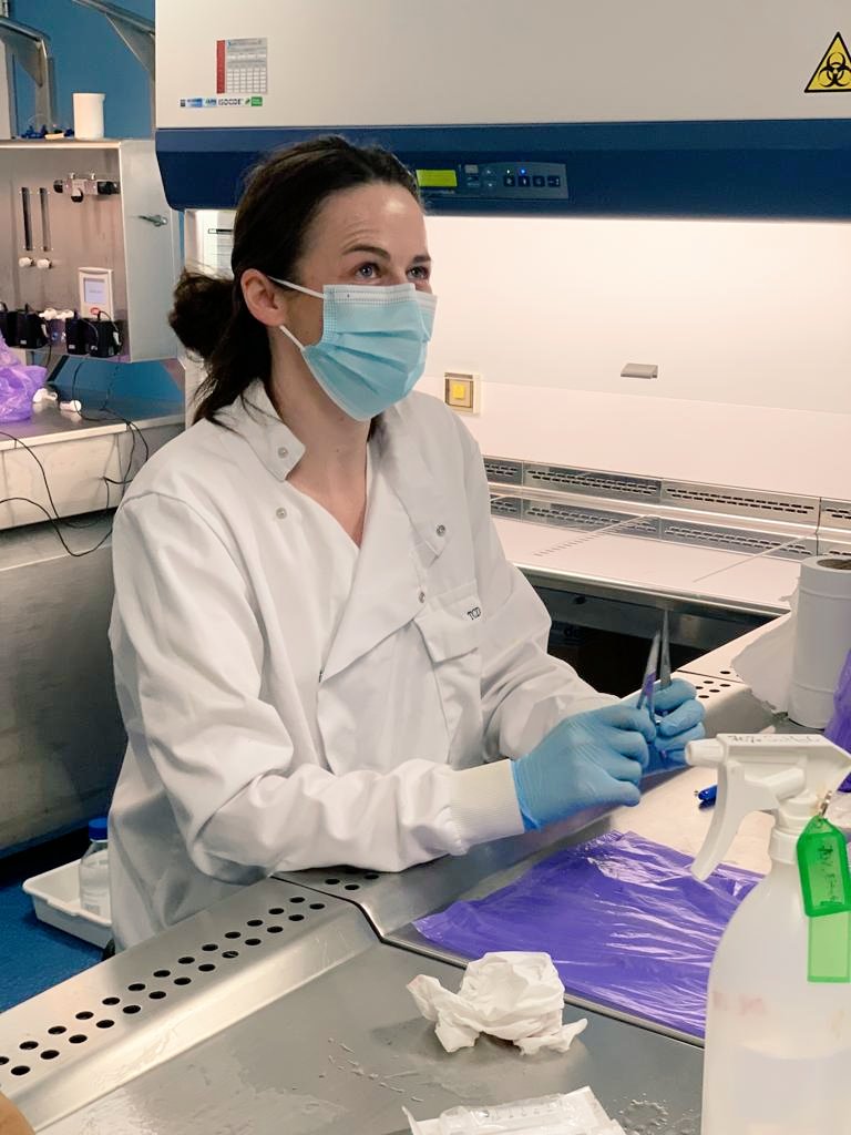 sineadccorr's tweet photo. Back at the bench, serious test of memory! #PIinthelab https://t.co/1d5rEiKzN0