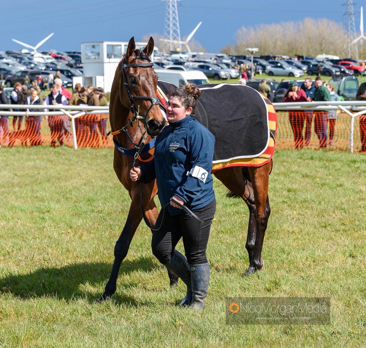 Klmorgan15's tweet photo. Just some more Polly spam, some shares are still available in this exciting mare, a really fun syndicate to be involved in. Next stop Cheltenham HC evening ๐ค #runwiththetide #winner #foxfieldstudsyndicate #kmracing #topteam https://t.co/p1PGDer9ZD