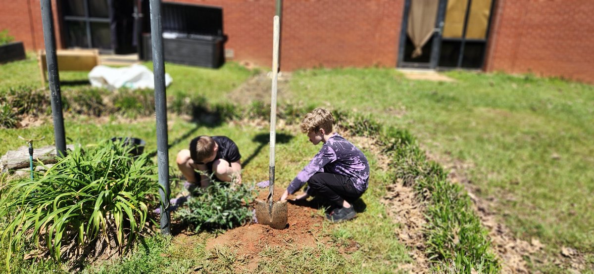 HESChessClub's tweet photo. Collaborating in our Bat Habitat with @mrs_davisHUB and 4th grades' bees today. I'm excited for more to come! Thank you to our community sponsors! https://t.co/9IS0DUDMmJ