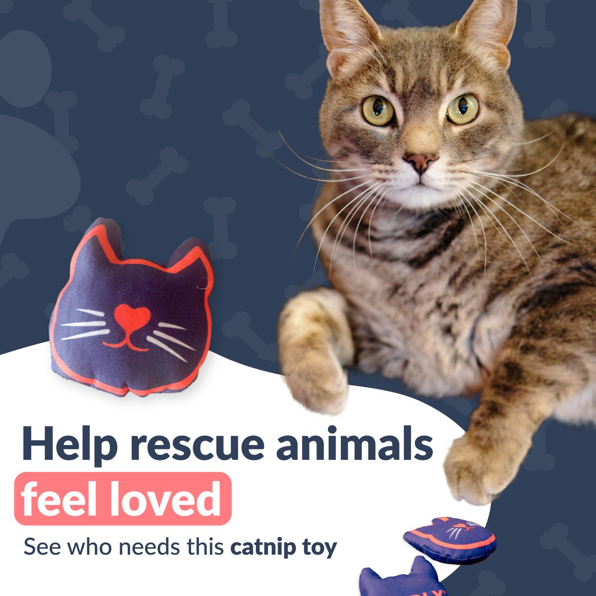 welovecuddly's tweet image. Give the gift of an animals first toy 😻 Benefits of #Catnip: Reduces anxiety, stress and depression, reduce stomach pain and bloat. And even encourages playtime

Donate this toy to an animal in need: bit.ly/3VXKbK8

#catniptoy #cats #catlover #catsoftwitter #catproducts