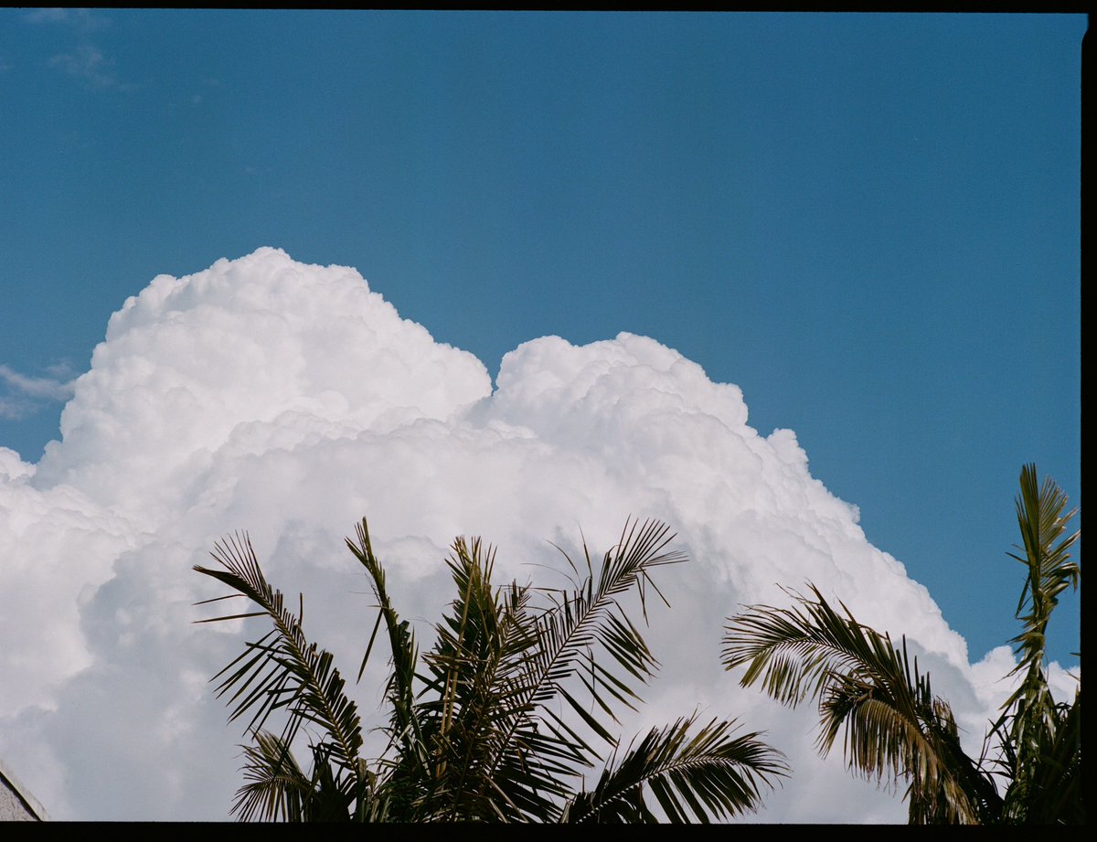 KenWheeler16's tweet photo. LA + PS last week on the #mamiya645 #portra400 https://t.co/lW9I3eEaAd