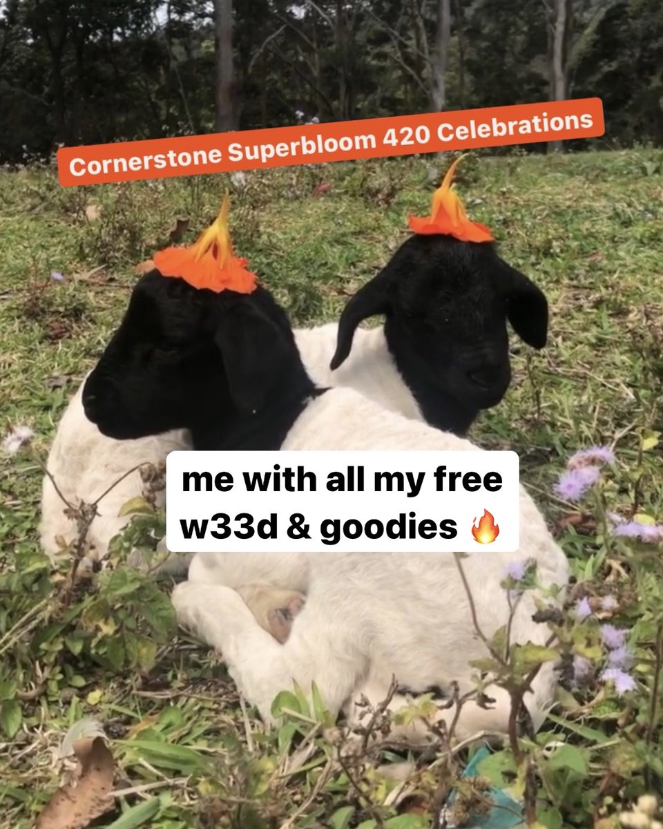 RT if the renewal of spring has done wonders for ur mental health 🌞🌻🌷🌸💐🌼