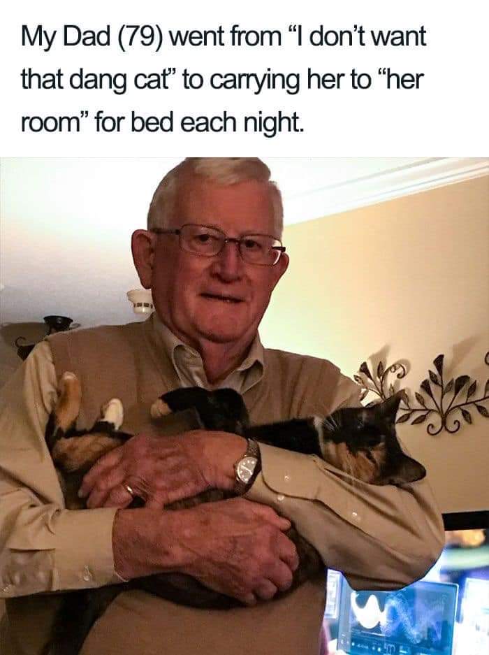 WholesomeMemes tweet media