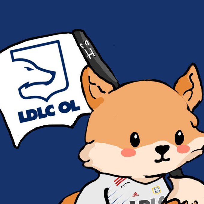 wolfonride's tweet photo. ON EST TROP FORT LET'S GO 3-0 ! #FearTheFoxes 🦊#EMEAMASTER https://t.co/aJRKZ4RtZS