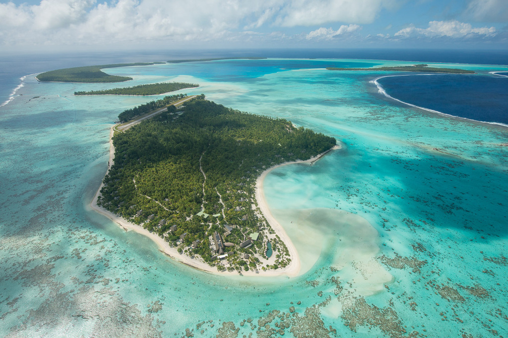 Pacific Beachcomber tweet media