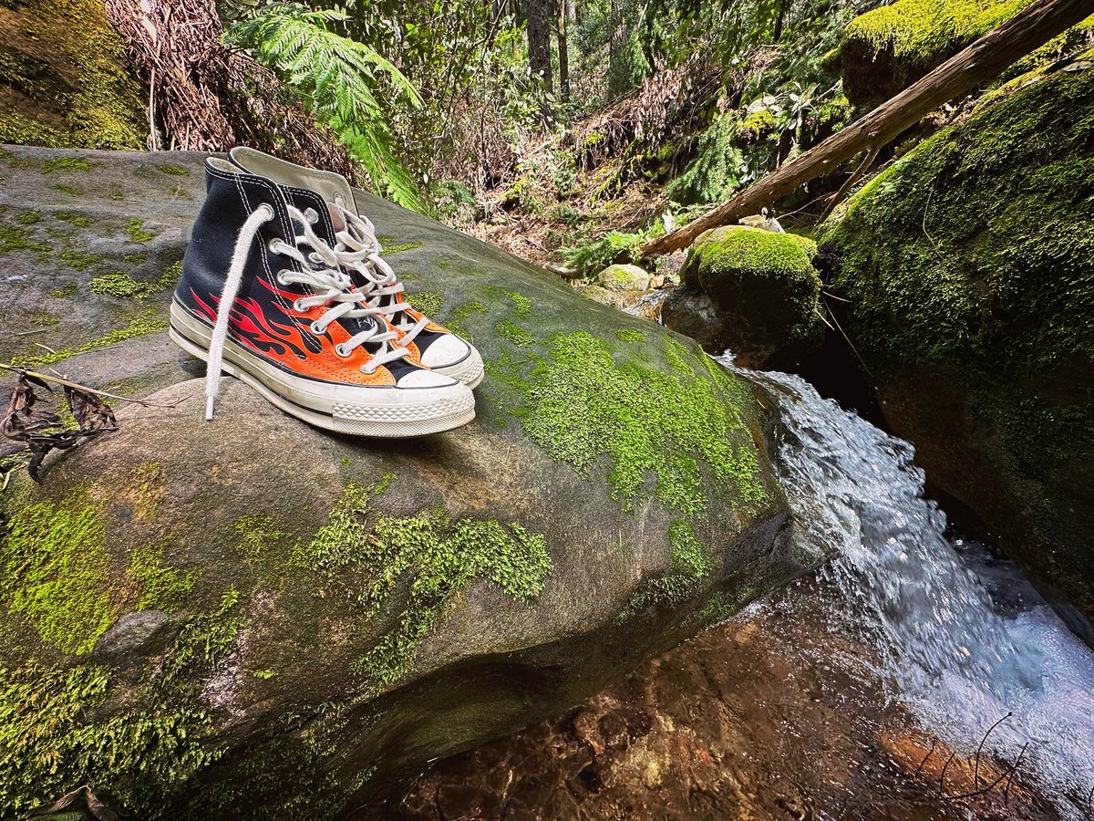 Jul3iaRichard's tweet photo. If anyone needs me, I’ll be in my office #thenature #workingfromwoods #barefootadventures #enchantedforest #birthdayshenanigans #converseallstar https://t.co/QltJd3ylNI