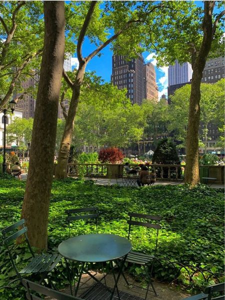 httpseviIIa's tweet image. New yourk