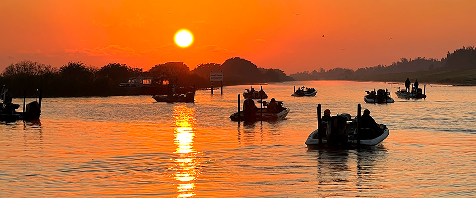 ProSitesUnlimited tweet media