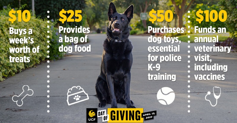 UCFPolice's tweet photo. Aside from putting a smile on the face of anyone who meets them, UCFPD's K-9s play a critical role in keeping our students and campus safe. 

By making a gift to the K-9 fund, you’ll support the adoption, training and care of our four-legged officers.