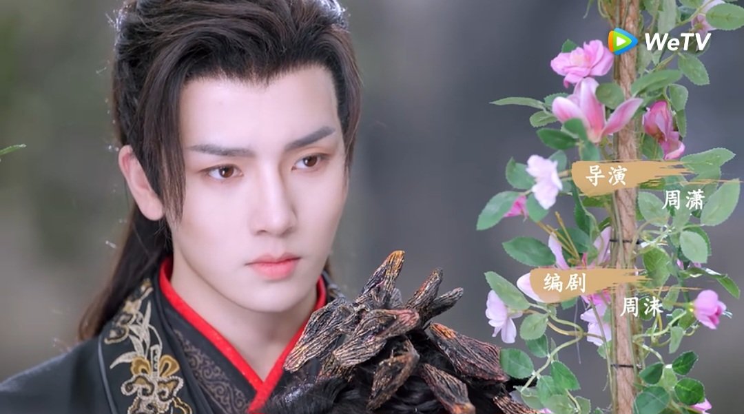 #화유리일문 가장 최근 보고 있는 중드, #서정계 ( #쉬정시 ) 배우 (현시점까지 본 작품들 중에선 #언어부 젤 추천) 물론 괜찮지만, 숏폼 드라마 #부생...