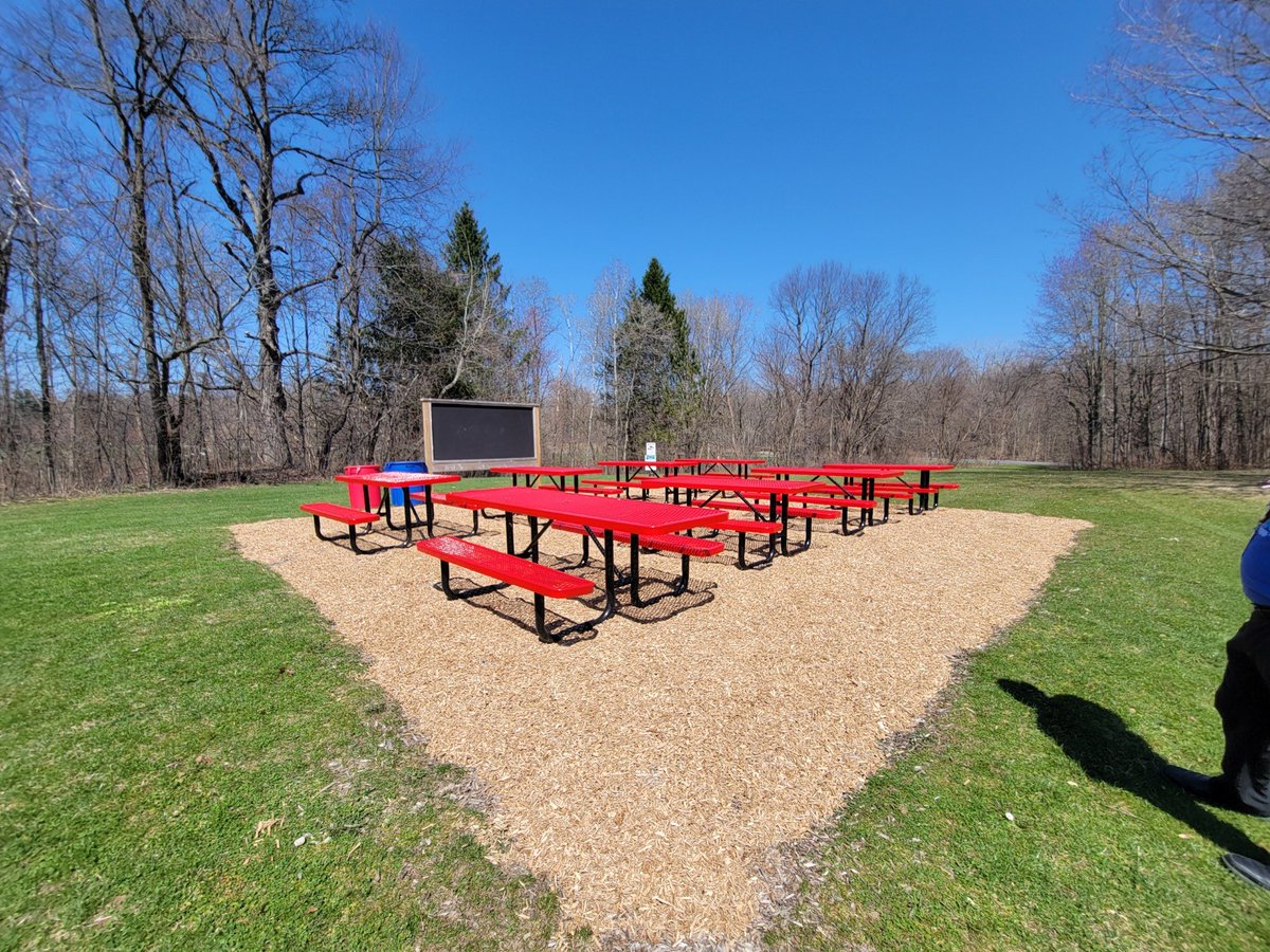 T.J. Fraher tweet media