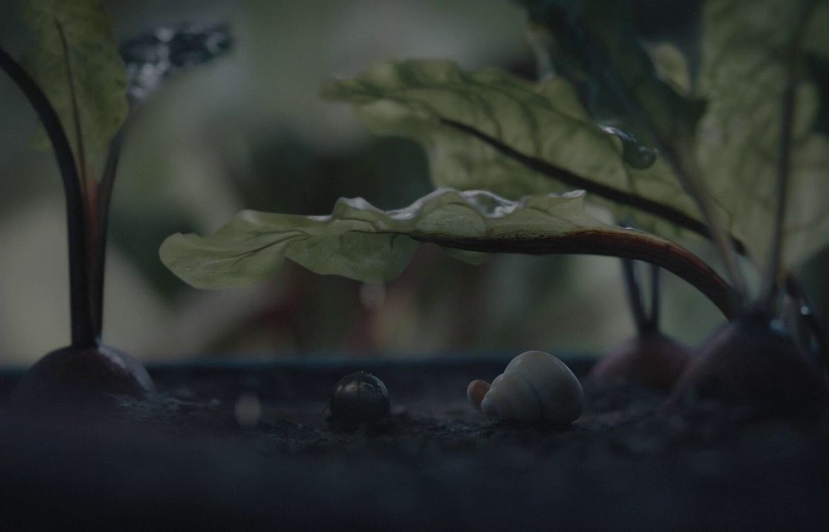 MotionPictureQ1's tweet photo. Marcel the Shell with Shoes On

“It may be good, it may be not, but just take the adventure. Don't use me as an excuse not to live.” https://t.co/vSjrF76aww