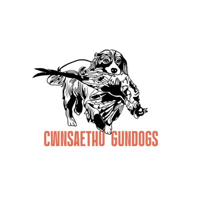 Cwnsaethu Gundogs tweet media