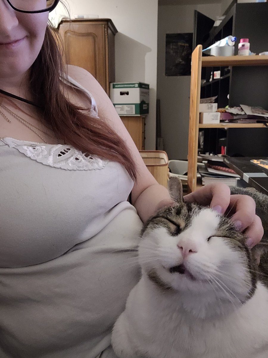 CaylanNyx's tweet photo. @Razzortainment Katze am geniessen😍😍🔥���� https://t.co/1pWtWBtsTl