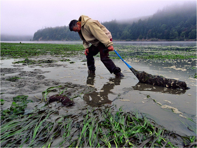 NOAAResearch's tweet photo. How could increased #CarbonDioxide change the ocean for shellfish and coral?
A team of scientists from across @NOAA have created a new tool to help people adapt to ocean acidification in a time of industrialization and increased emissions.
Learn more at https://t.co/0lDYgLDo8R https://t.co/igJe5HrCct