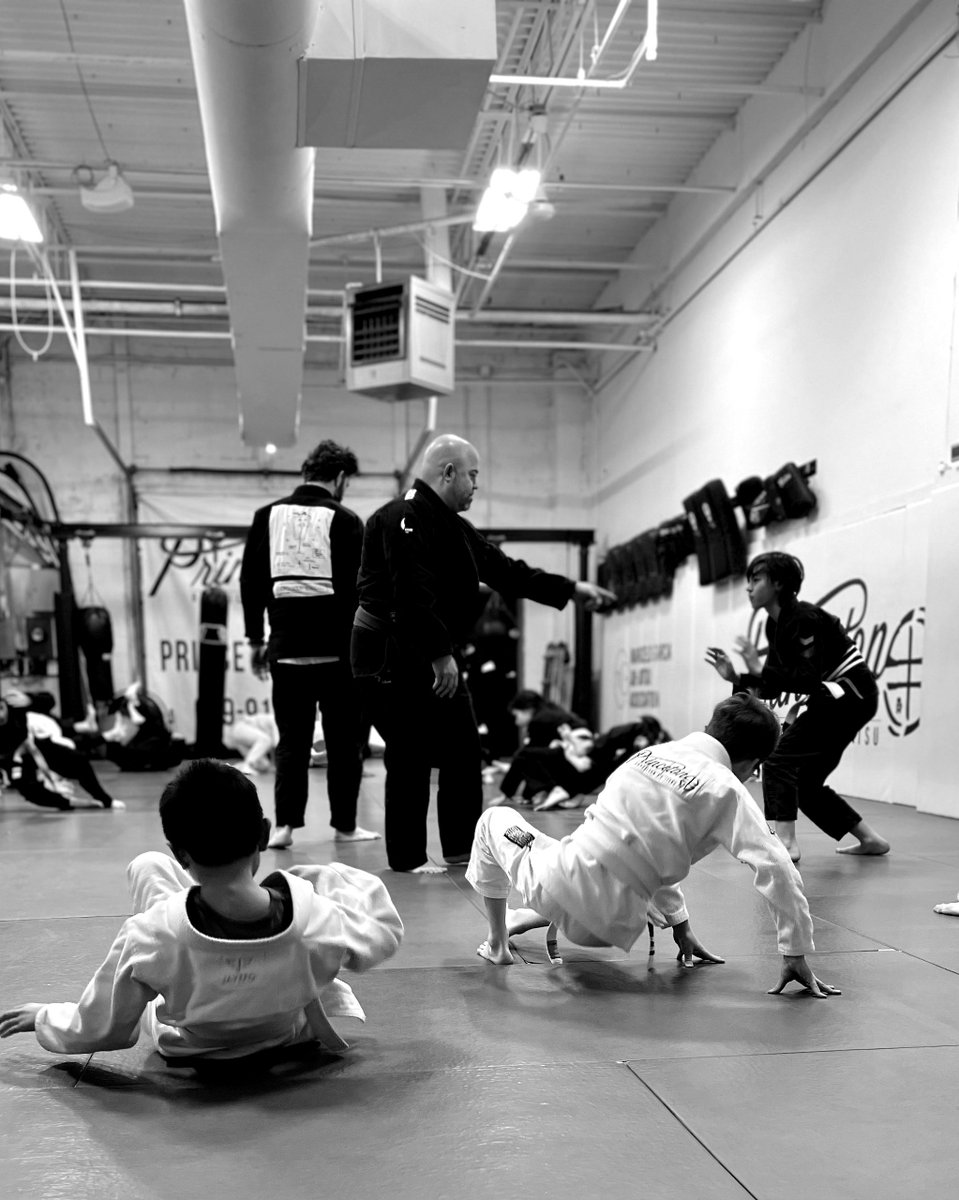 What is Brazilian Jiu-Jitsu?
Answer: Brazilian Jiu-Jitsu is a martial art and combat sport that focuses on grappling and ground fighting techniques. It originated in Brazil and is based on the principles of leverage and submission holds.