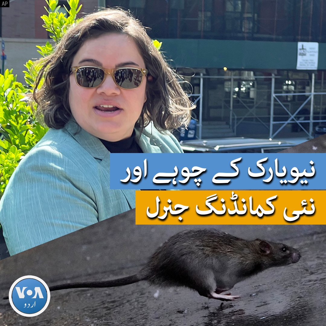 voaurdu's tweet photo. نیو یارک کے میئر ایرک ایڈمز نے بدھ (12 اپریل) کو اعلان کیا کہ محکمہ تعلیم کی ملازم کیتھلین کوراڈی کو نیویارک میں چوہوں کی بڑھتی ہوئی آبادی سے نمٹنے کے لیے کمانڈنگ جنرل منتخب کیا گیا ہے۔
#NewYork #Rats #CommandingGeneral #America #NewYorkRats https://t.co/Xw3het7ufg