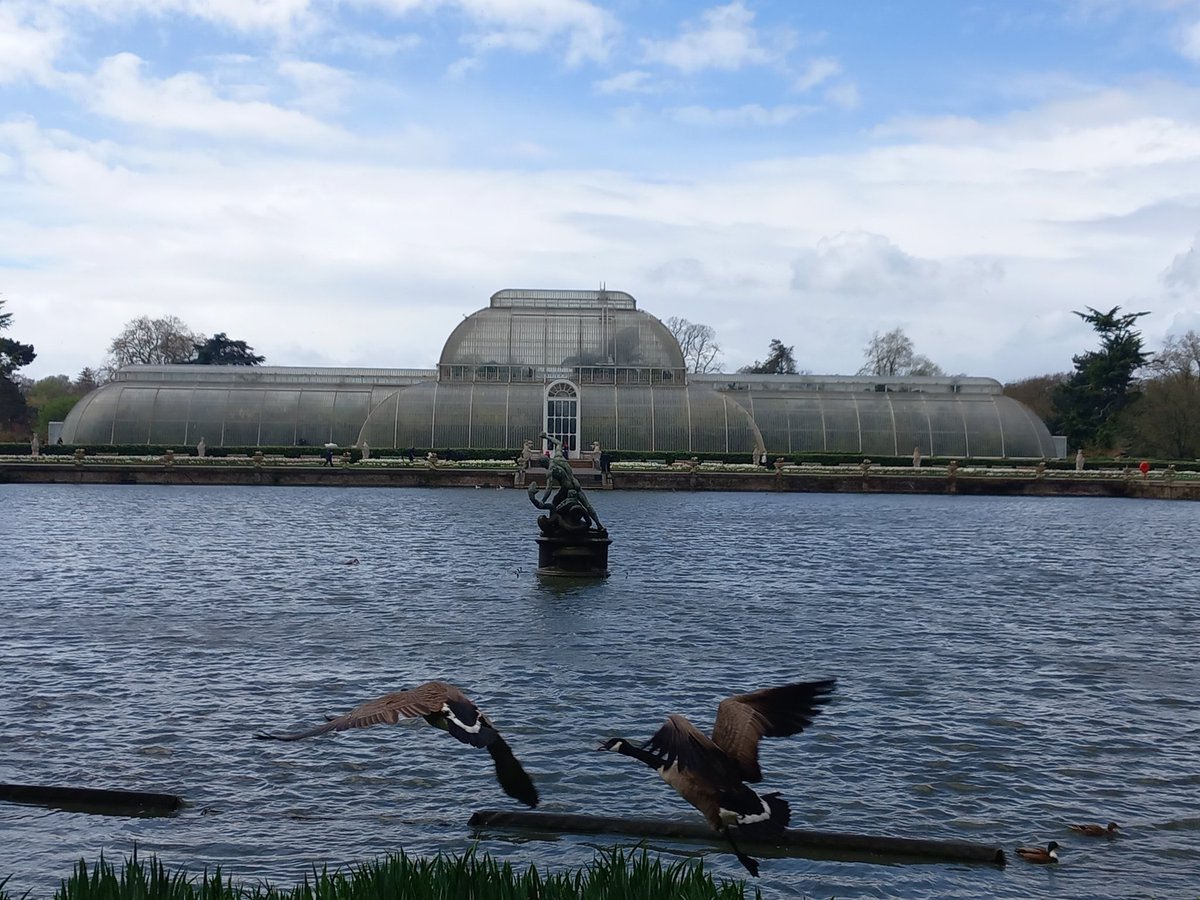 HolyDrogon's tweet photo. Goosebomb at #kewgardens 🤣 https://t.co/Tapn3Zh90u