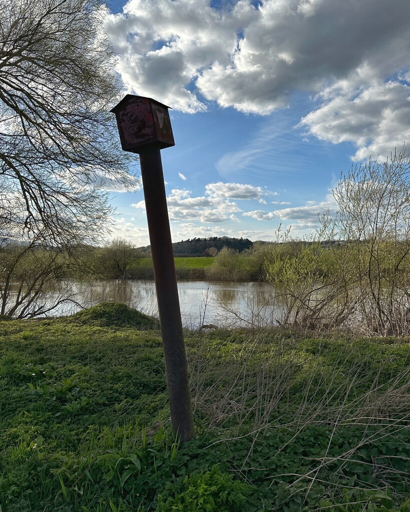 Splodz's tweet image. There is something so charming about this little bird house I spotted on the banks of the River Severn.

I love how the post is super oversized for the box on top, but it's still on the wonk.

===

#OneHourOutside #GetOutside #OSChampions #SeeABetterPlac… instagr.am/p/Cq8saXfLtCO/
