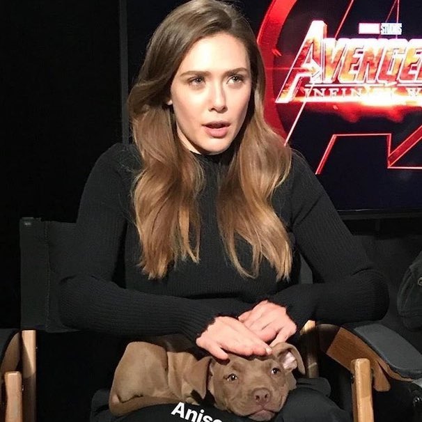 Kathryn 🐢 on Twitter: "RT @itsjustanx: IT’S HAPPENING! Elizabeth Olsen