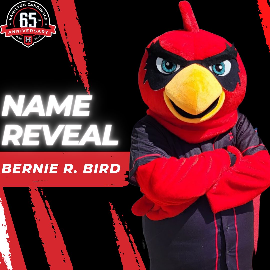 Hamilton Cardinals tweet media