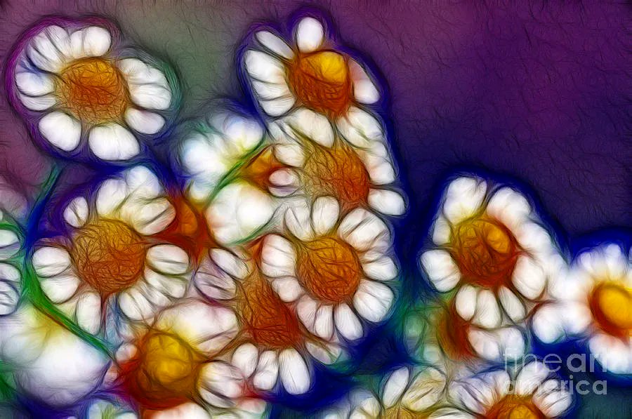 KayeMenner's tweet image. #Artistic #Feverfew Print by Kaye Menner #BuyInto#Art  #Photography Quality #prints lovely #products at:
 buff.ly/3o7PV96