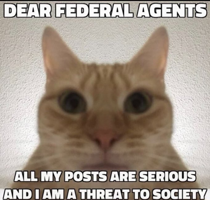 Image prediction: Egyptian cat
Confidence: 66.97%
Submission by @.KevinOlivery