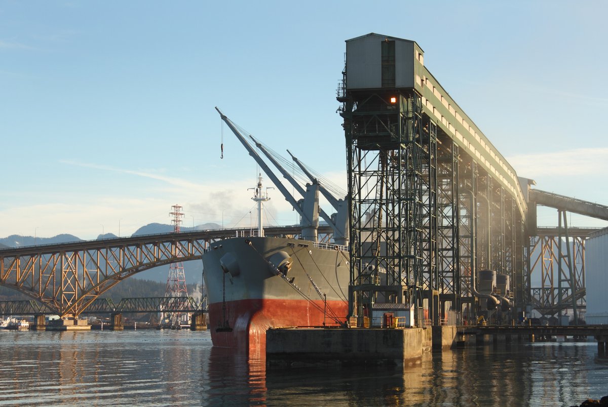 PortXLogistics's tweet photo. 🚨 Canada Update 🚨

Canada has remained pretty quiet 💤

We have open capacity and we are seeing no congestion or chassis shortages.

https://t.co/bJNtuY7AwH 

#Canada #PortUpdate #CanadianPorts #Montreal #Vancouver #Halifax https://t.co/0YDrcj1aWH