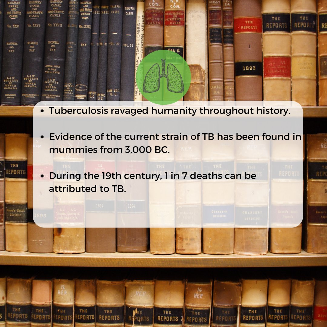 Emphysema Foundation of America tweet media