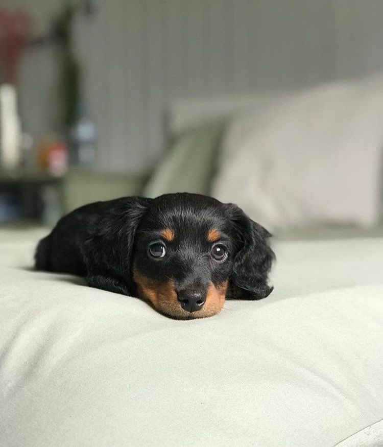 twaniimals's tweet photo. https://t.co/xC5TPW6gTo