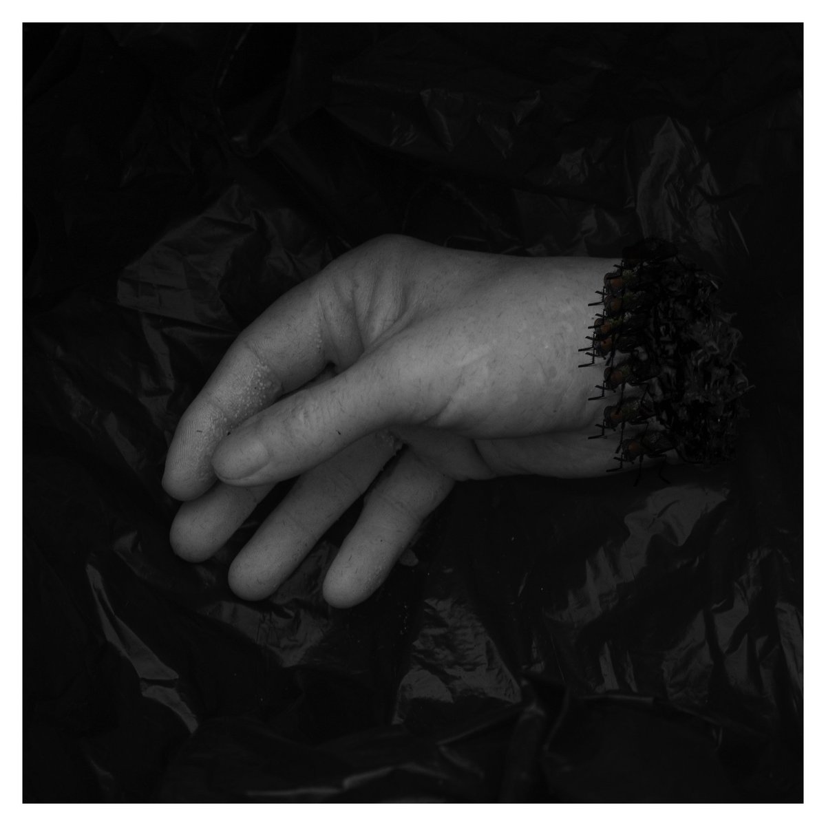 GPhotos23's tweet photo. The first set of photos from my current project, "The Dark Mind"

I've been exploring the horror side of photography with photographing fake  body parts to create creepy and dark photos.
#canonphotography
#stilllifephotography
#monocromephotography #horror #horrorphotography https://t.co/J5ggGGHqdr