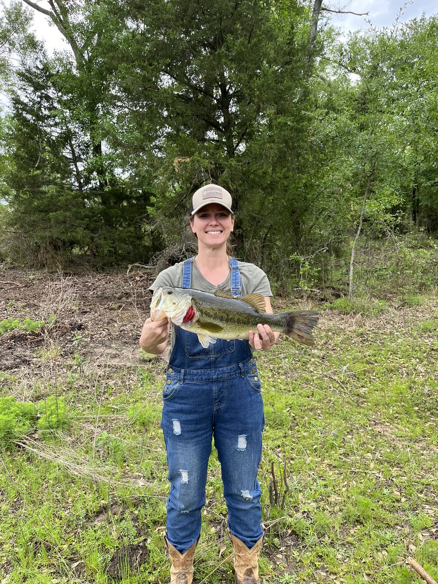 Mary Ellen tweet media