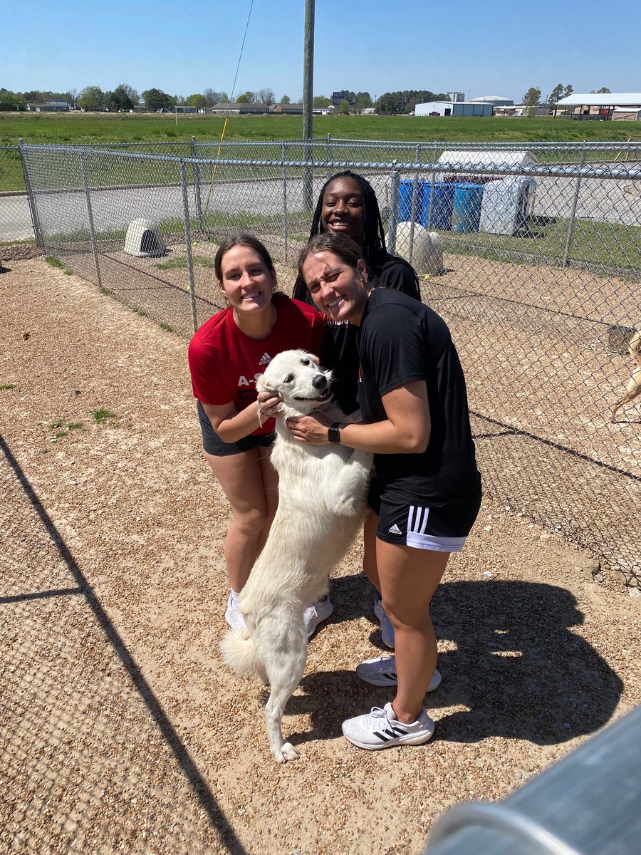 Arkansas State Volleyball 🏐 tweet media